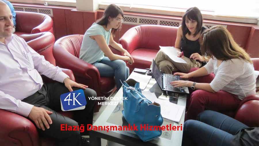 Elazığ Danışmanlık Hizmetleri